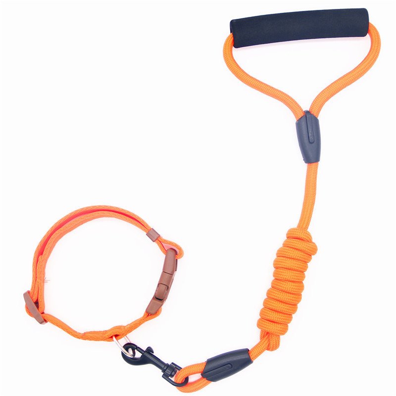 Pet Leash Dog Collar - Image 3