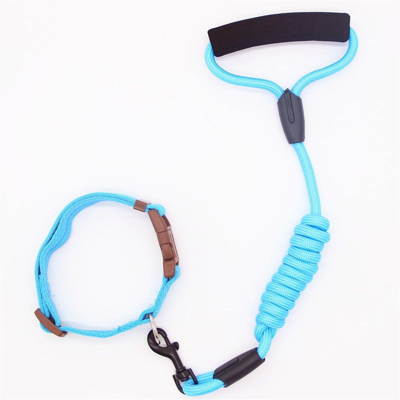 Pet Leash Dog Collar - Image 2