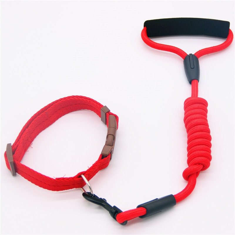Pet Leash Dog Collar - Image 5