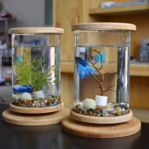 Small Office Glass Aquarium Bamboo
