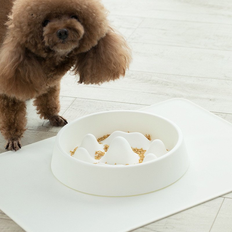 Pet Slow Food Bowl - Image 5