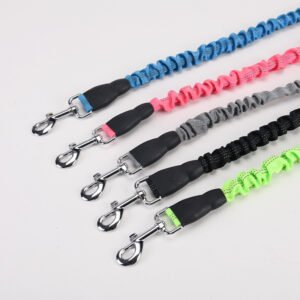 Walking Dog Lengthened Dog Leash
