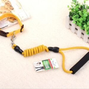 dog chain, dog collar, pet harness rope