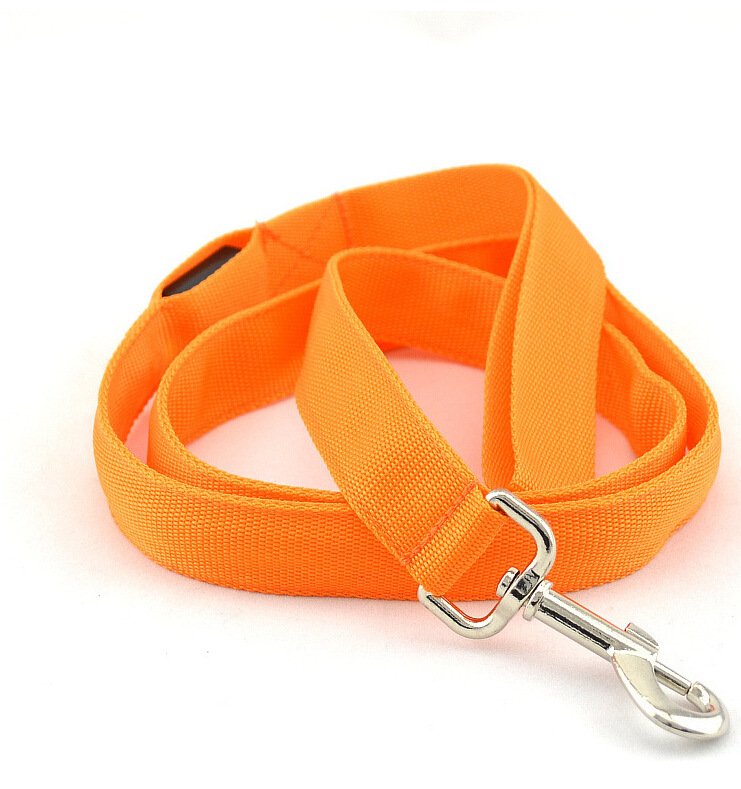 Glowing Pet Leash Glowing Dog LED - Image 9