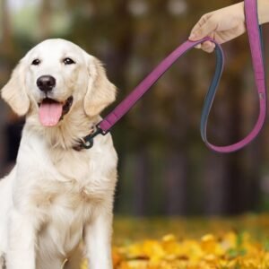 Pet Dog Leash Pull-resistant Leather Products
