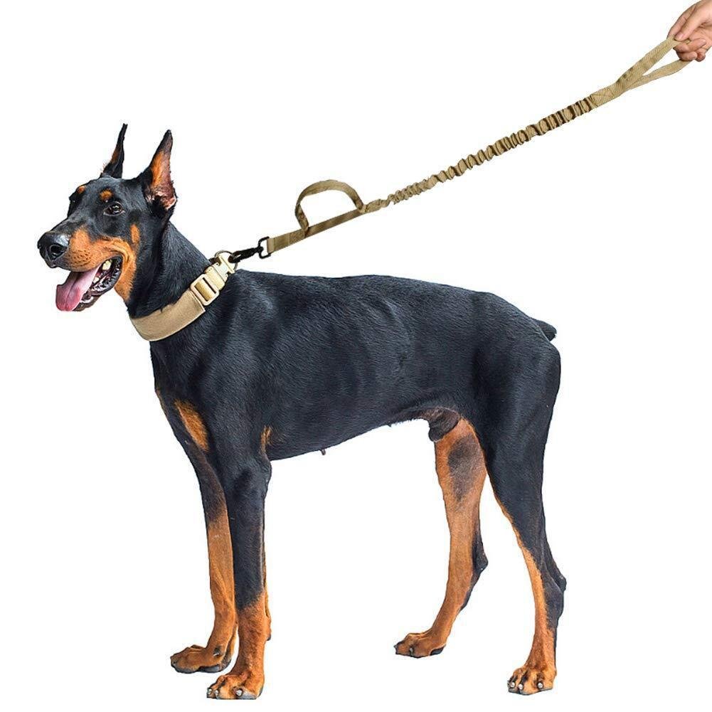 Training Dog Leash - Image 8