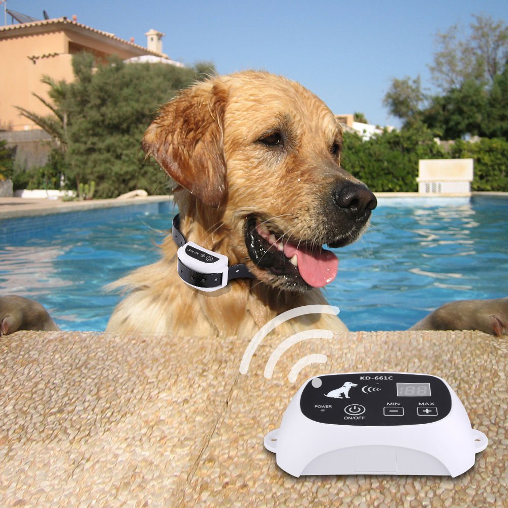 Wireless Electronic Pet Fence System - Image 4