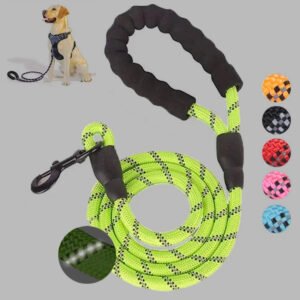 Small Medium Sized Pet Dog Luminous Leash
