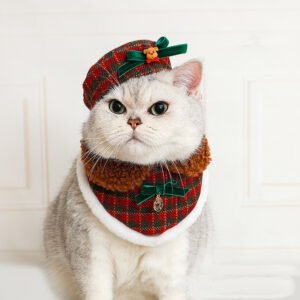 Christmas Cat Hat Bib Dress Up Clothes