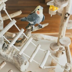 Toys and Accessories