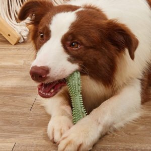 chew-toys-for-dog-teeth-cleaning
