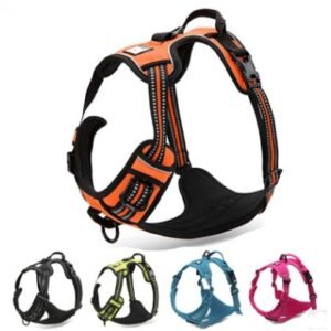truelove-pet-adjustable-safety-reflective-nylon-harness