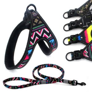 colorful-dog-leash-dog-walking-rope