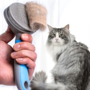 pet-steel-needle-brush