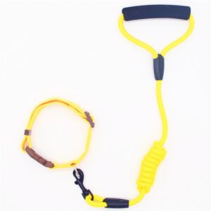 dog-collar-with-dog-leash