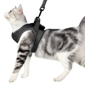 chest-harness-cat-leash-vest