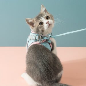 cat-traction-rope-chest-strap-to-prevent-breaking-free