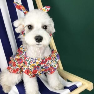 summer-thin-small-dog-dress