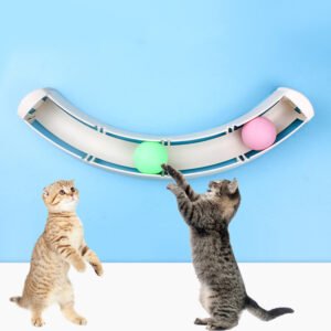 cat-sucker-track-ball-cat-ball