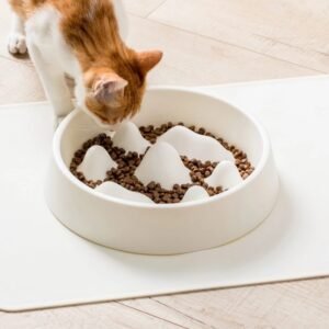 pet-slow-food-bowl