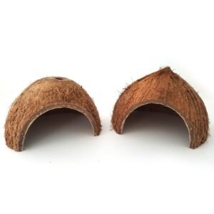 reptile-coconut-shell-cave