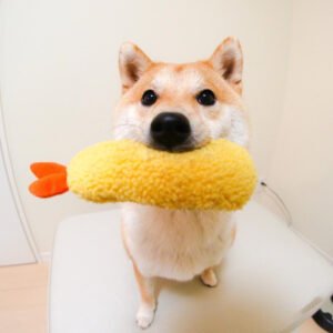 fried-shrimp-tempura-dog-pet-chew-bite-squeaky-toy-cute-stuffed
