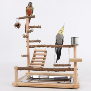 parrot-climbing-training-platform