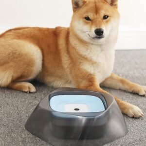 pet-no-spill-drinking-water-bowl