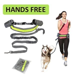 adjustable-hands-free-dog-leash