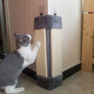 foldable-environmentally-friendly-pet-toy-cat-scratcher