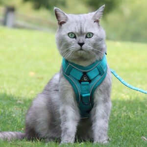 cat-specific-anti-breakaway-cat-rope-silver-gradient-chain