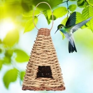 grass-woven-birds-nest