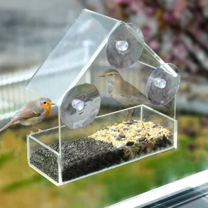 House Transparent Window Wild Bird Feeder