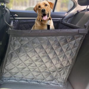 dog-safety-seat