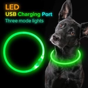 Pet Flashing USB Rechargeable Glowing Safety Collar