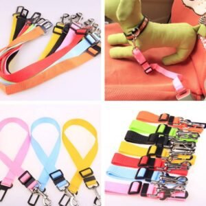 fixed-polyester-dog-leash