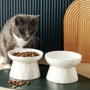 spine-protecting-cat-food-bowl