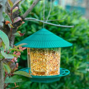 outdoor-garden-hanging-transparent-bird-feeder