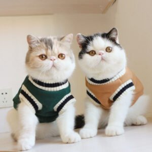 american-college-style-fleece-cat-knit-sweater