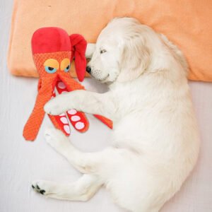 pet-plush-toy-octopus-dog-puzzle