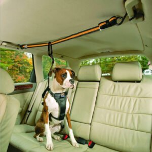 pet-safety-belt-dual-purpose-car-lanyard