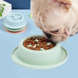 pet-slow-food-bowl-2