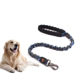 elastic-leash-for-large-dog