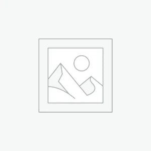 Bowls and Feeding Accessories